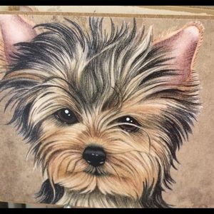 Meet your Posher, Sherry